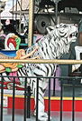 Herschell-Spillman Outside Row Tiger
